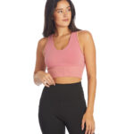 Sopra Seamless Crop Top